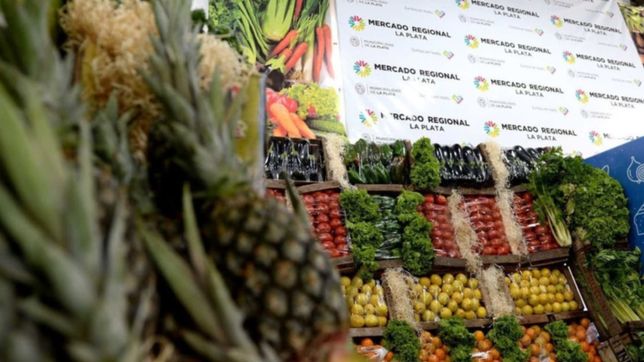 todas las ofertas y los precios accesibles del mercado central de la plata