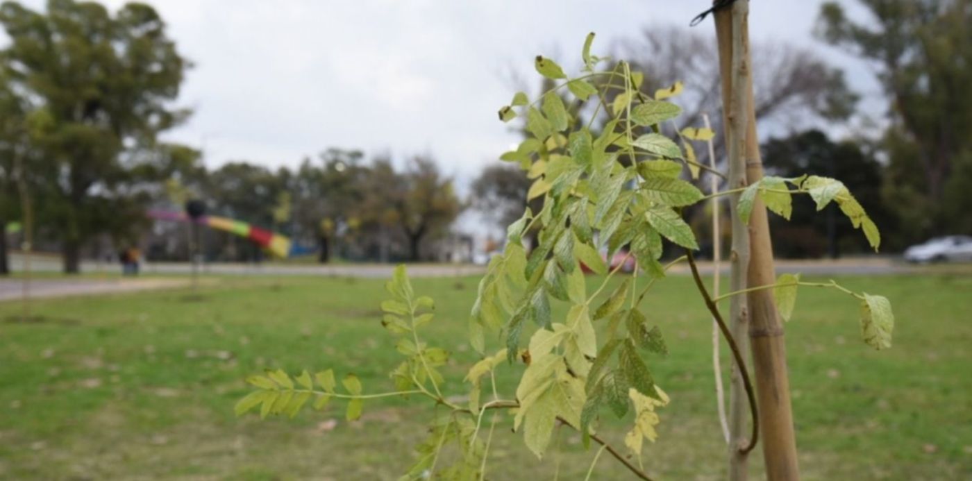 1622857777389.jpeg?x=10&y=83&width=1260&height=630&rotate=0&scaleX=1&scaleY=1&ow=1280&oh=853&&cw=1920&ch=950