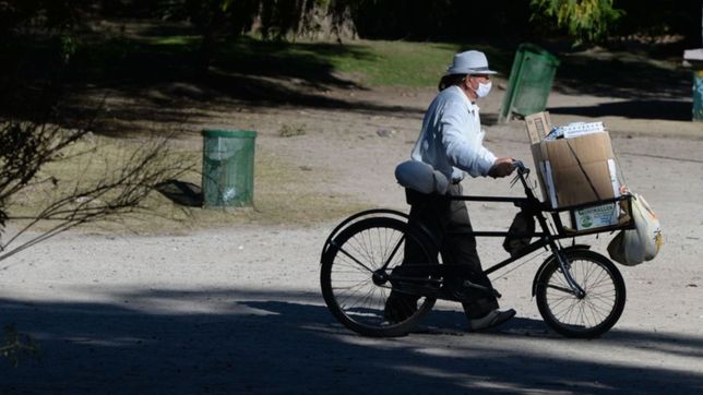 frio a la manana y sol por la tarde: asi va a seguir el clima en la plata esta semana