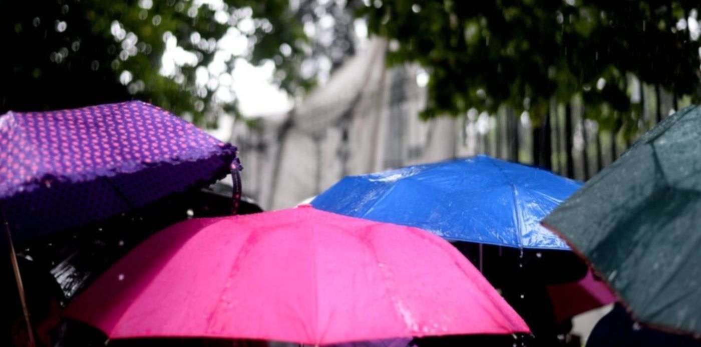 1612189533429.jpeg?x=8&y=212&width=1215&height=608&rotate=0&scaleX=1&scaleY=1&ow=1232&oh=820&&cw=1920&ch=950