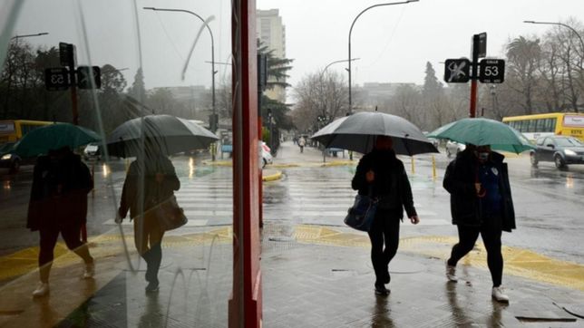 viernes gris y con lluvia en la plata: ¿como va a seguir el clima el fin de semana?