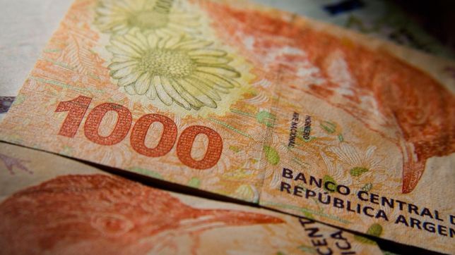 plazo fijo: ¿cuanto hay que invertir para ganar $100.000 con la nueva tasa de interes?