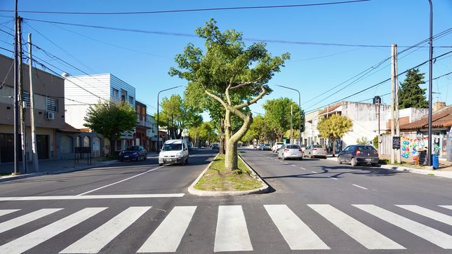 termino la segunda etapa de las obras en la avenida 60 y anuncian mejoras para un nuevo tramo