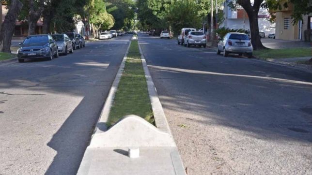 avanza la construccion de una rambla con canteros altos en la avenida 25