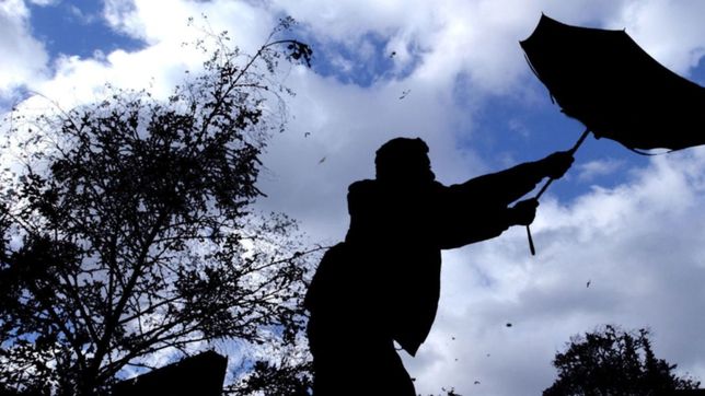 edelap emitio una serie de recomendaciones ante el alerta amarillo por vientos en la plata