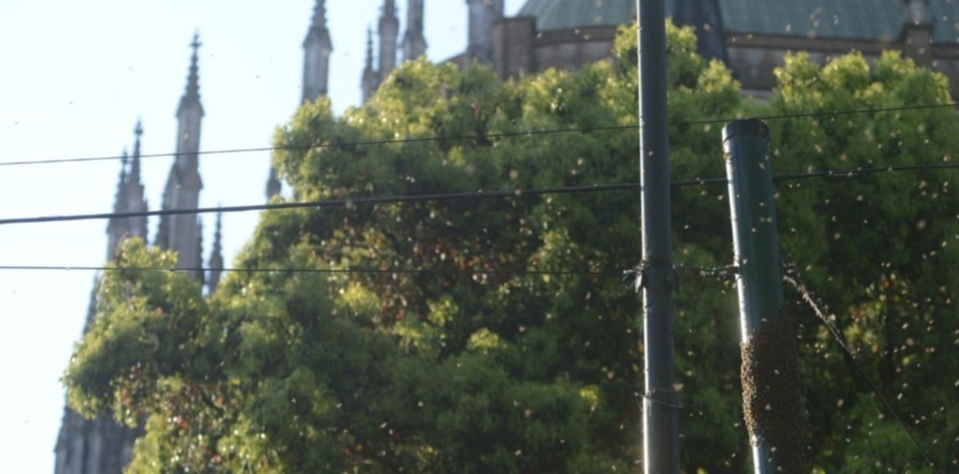 1602190676719.jpeg?x=15&y=163&width=1262&height=631&rotate=0&scaleX=1&scaleY=1&ow=1280&oh=850&&cw=1920&ch=950