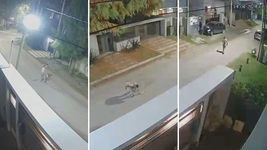 borracho, semidesnudo y a los ladrillazos, un hombre ataco las casas de varios vecinos de la plata borracho, semidesnudo y a los ladrillazos, un hombre ataco las casas de varios vecinos de la plata