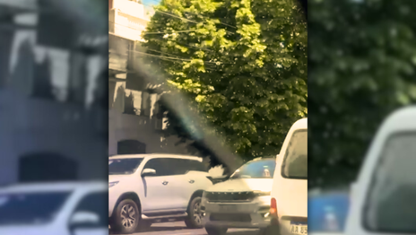 Un enjambre de abejas invadió el centro de La Plata y los expertos explican por qué Un enjambre de abejas invadió el centro de La Plata y los expertos explican por qué