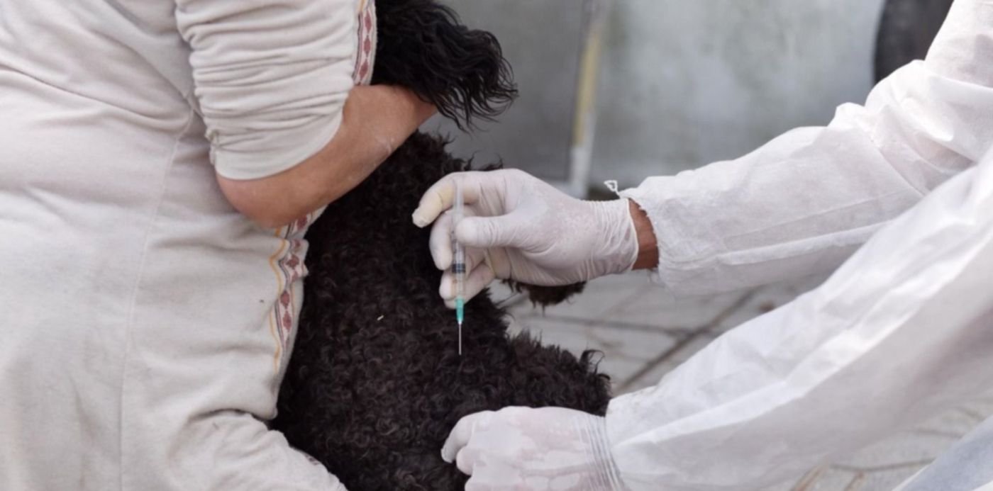 1601335493813.jpeg?&cw=1920&ch=950