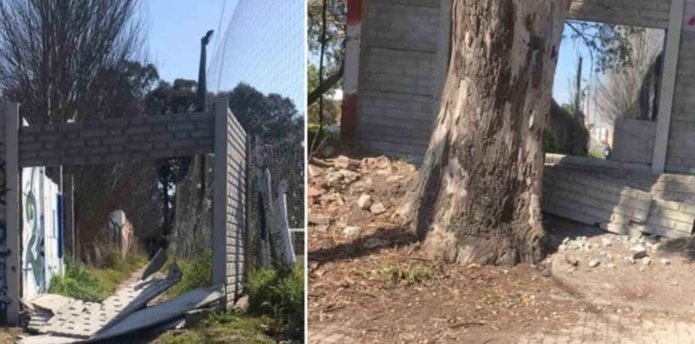 1598389633344.jpg?x=4&y=82&width=995&height=497&rotate=0&scaleX=1&scaleY=1&ow=1006&oh=668&&cw=1920&ch=950