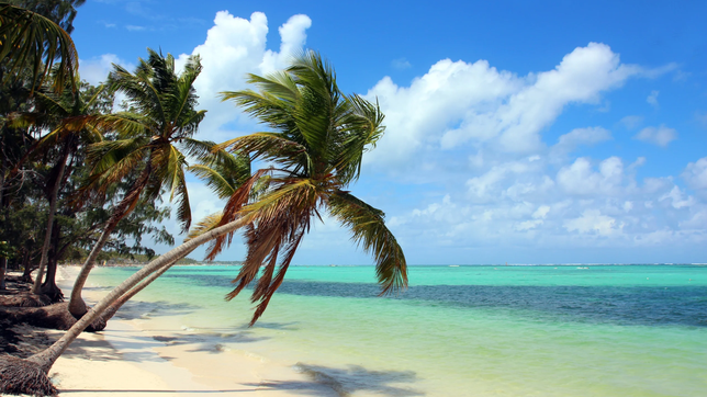 aerolineas argentinas sumo dos nuevas rutas a un destino paradisiaco y mas frecuencias desde buenos aires