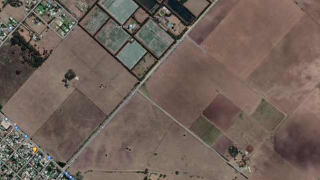 femicidio en la plata: ¿como es el lugar donde hallaron asesinada a la victima?