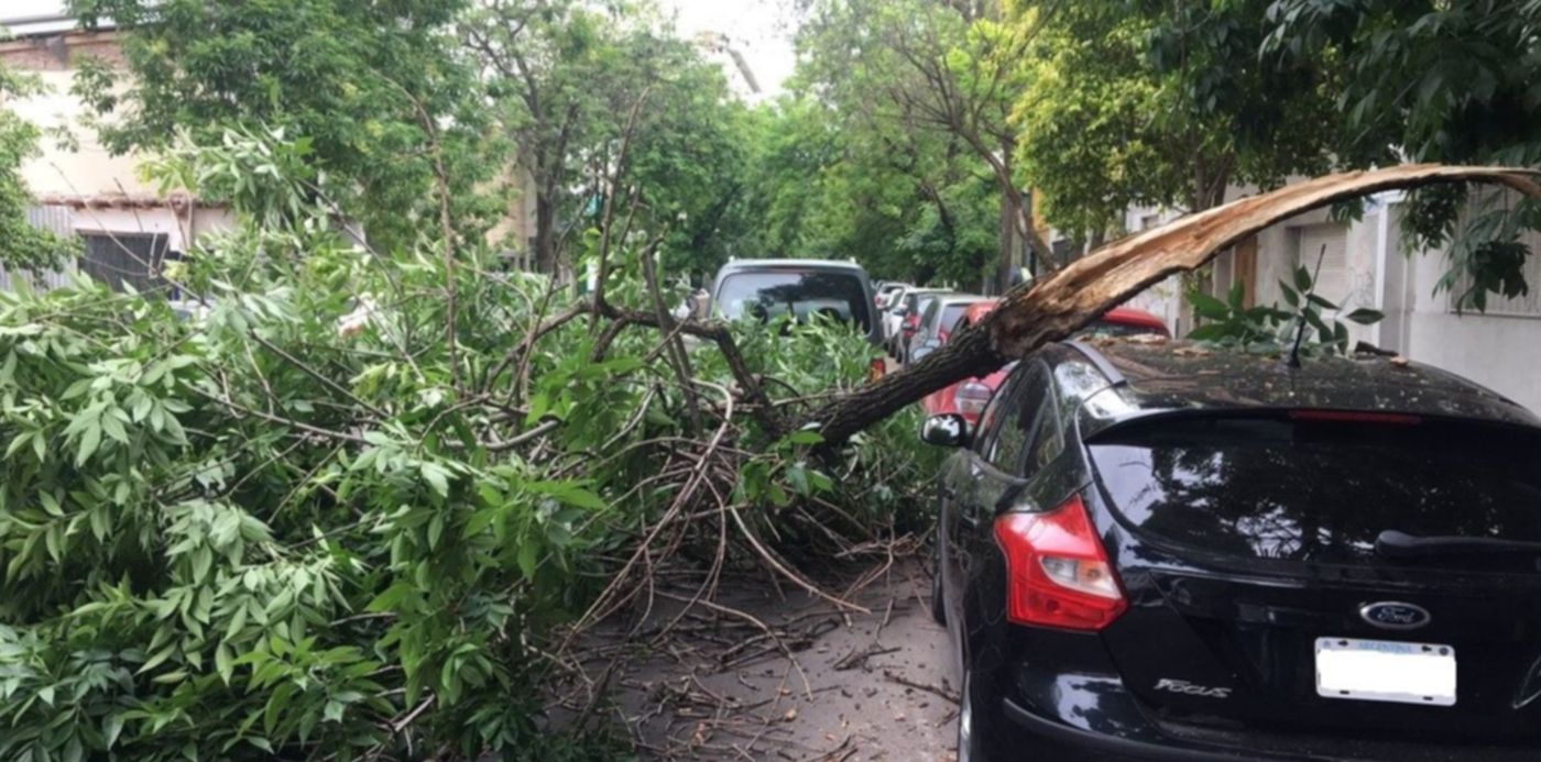 1541418339135.jpg?oh=900&x=6&rotate=0&scaleX=1&scaleY=1&ow=1200&y=135&width=1179&height=590&&cw=1920&ch=950