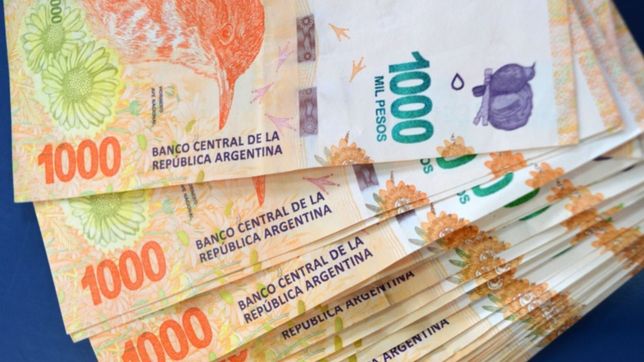 el gobierno argentino revelo que no descarta otro bono para sectores vulnerables