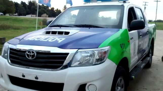 envenenaron a dos perritos, ataron y golpearon a su duena y escaparon con casi $200 mil