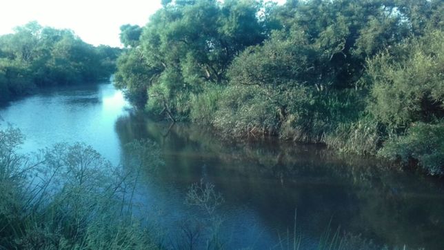 continua la busqueda del pescador que cayo a un arroyo de berisso y desaparecio
