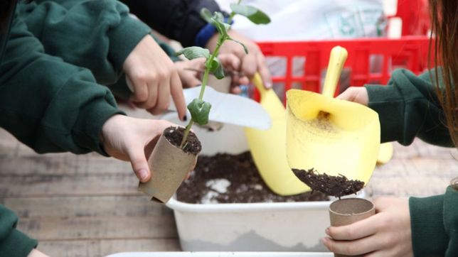 huerta, reciclaje y alimentacion saludable, los cursos gratuitos que llegan al bosque de la plata