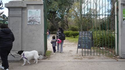 La Municipalidad comunicó cómo preservará la Biblioteca del otro lado del árbol durante las obras en el Parque Saavedra