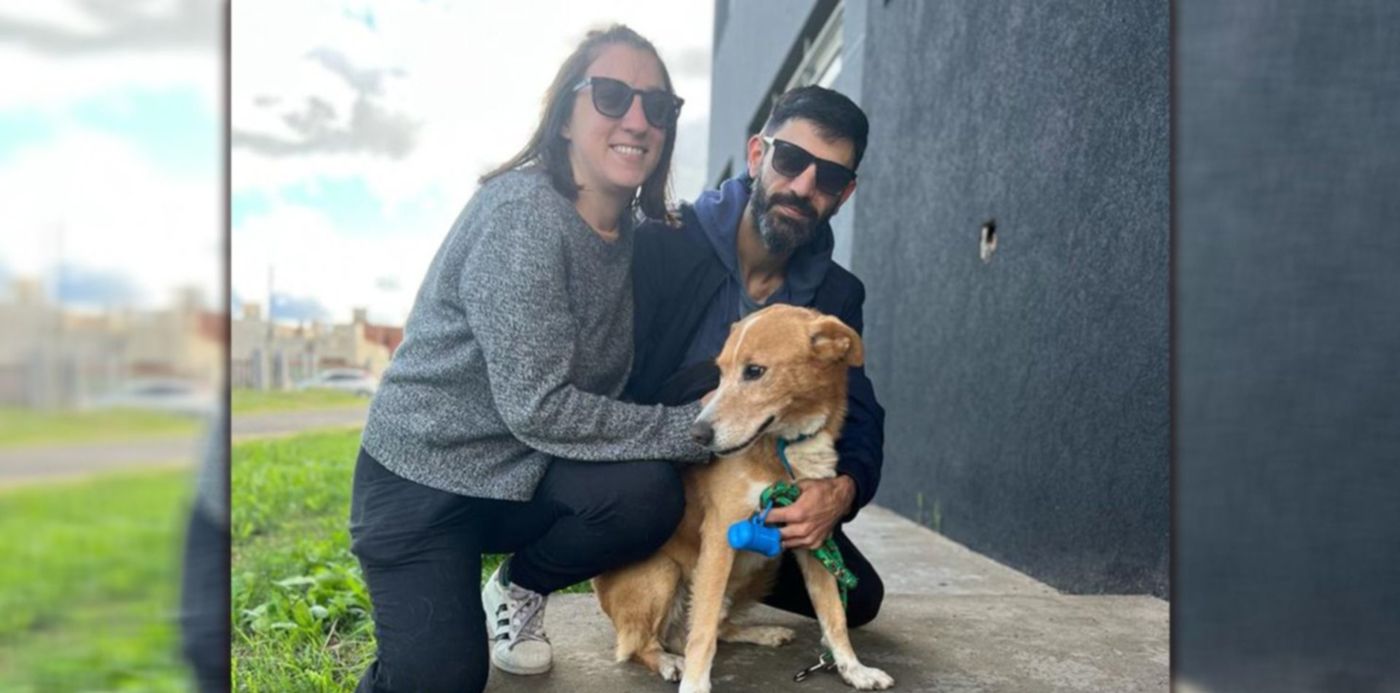 1685127896847.jpg?x=8&y=0&width=1484&height=742&rotate=0&scaleX=1&scaleY=1&ow=1500&oh=742&&cw=1920&ch=950