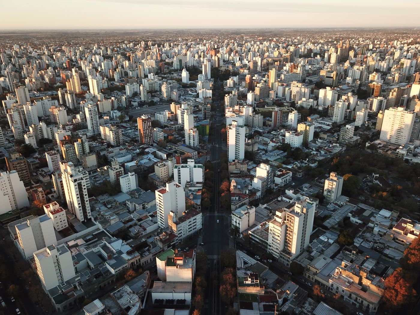 El Estado remata en La Plata un terreno de 1.200 metros cuadrados y el edificio de un conocido supermercado