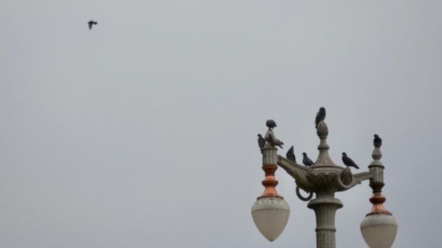 domingo inestable y con lluvias: asi seguira el clima en la plata