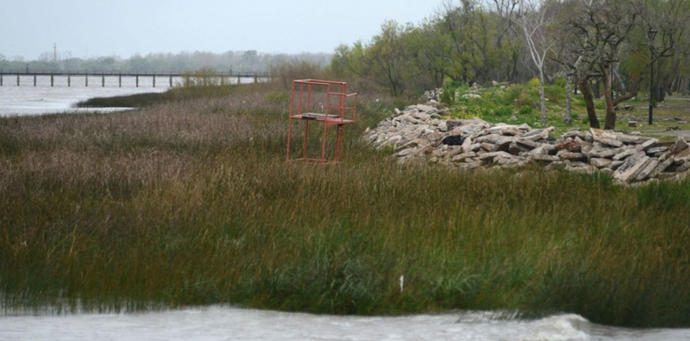 1569962890132.jpg?width=1467&height=734&scaleY=1&oh=954&ow=1500&x=20&y=193&rotate=0&scaleX=1&&cw=1920&ch=950