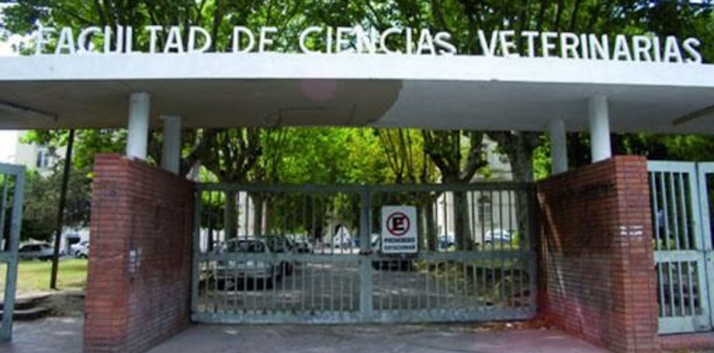 1588013332056.jpg?x=2&y=71&width=508&scaleX=1&ow=512&oh=340&height=254&rotate=0&scaleY=1&&cw=1920&ch=950