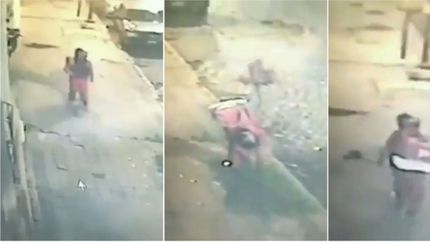 VIDEO: Un repartidor de Pedidos Ya dejó una pizza, arrancó un árbol de raíz y se lo robó