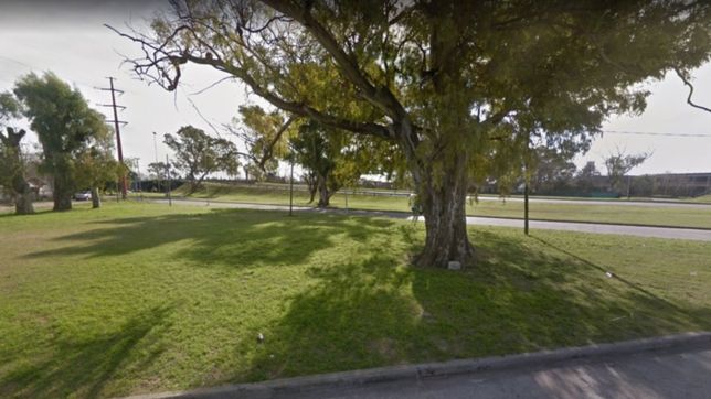 vecinos de tolosa, contra el remate de tierras : ?es una zona inundable y nos preocupa?