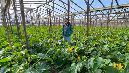 La UNLP estudia cómo reducir el desperdicio de alimentos en el cordón frutihortícola de La Plata