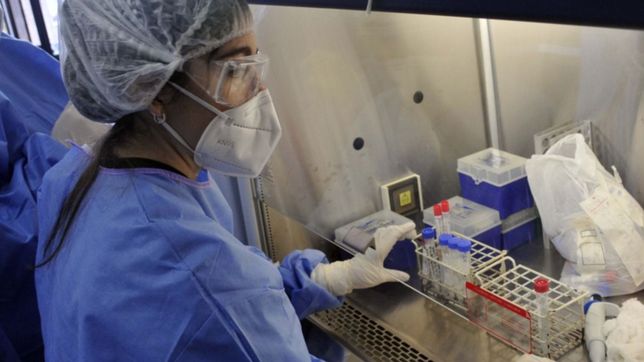 coronavirus: este lunes comienzan a distribuir el suero equino desarrollado en argentina