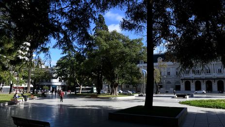 El jueves arrancó muy fresco, pero se espera una tarde de sol y buen clima en La Plata El jueves arrancó muy fresco, pero se espera una tarde de sol y buen clima en La Plata
