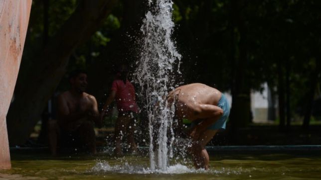 clima en la plata: viernes con calor, humedad y amenaza de chaparrones
