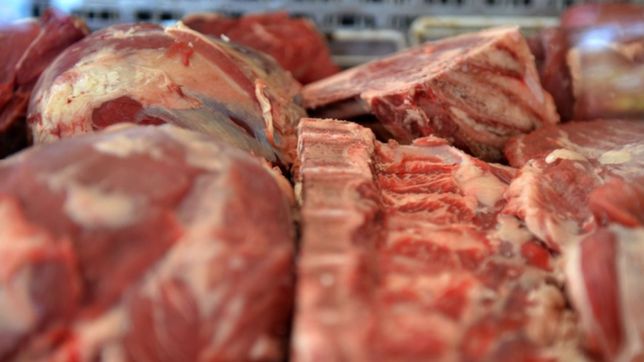 ya rige el acuerdo de cortes de carne a precios populares: ¿cuales son y cuanto salen?