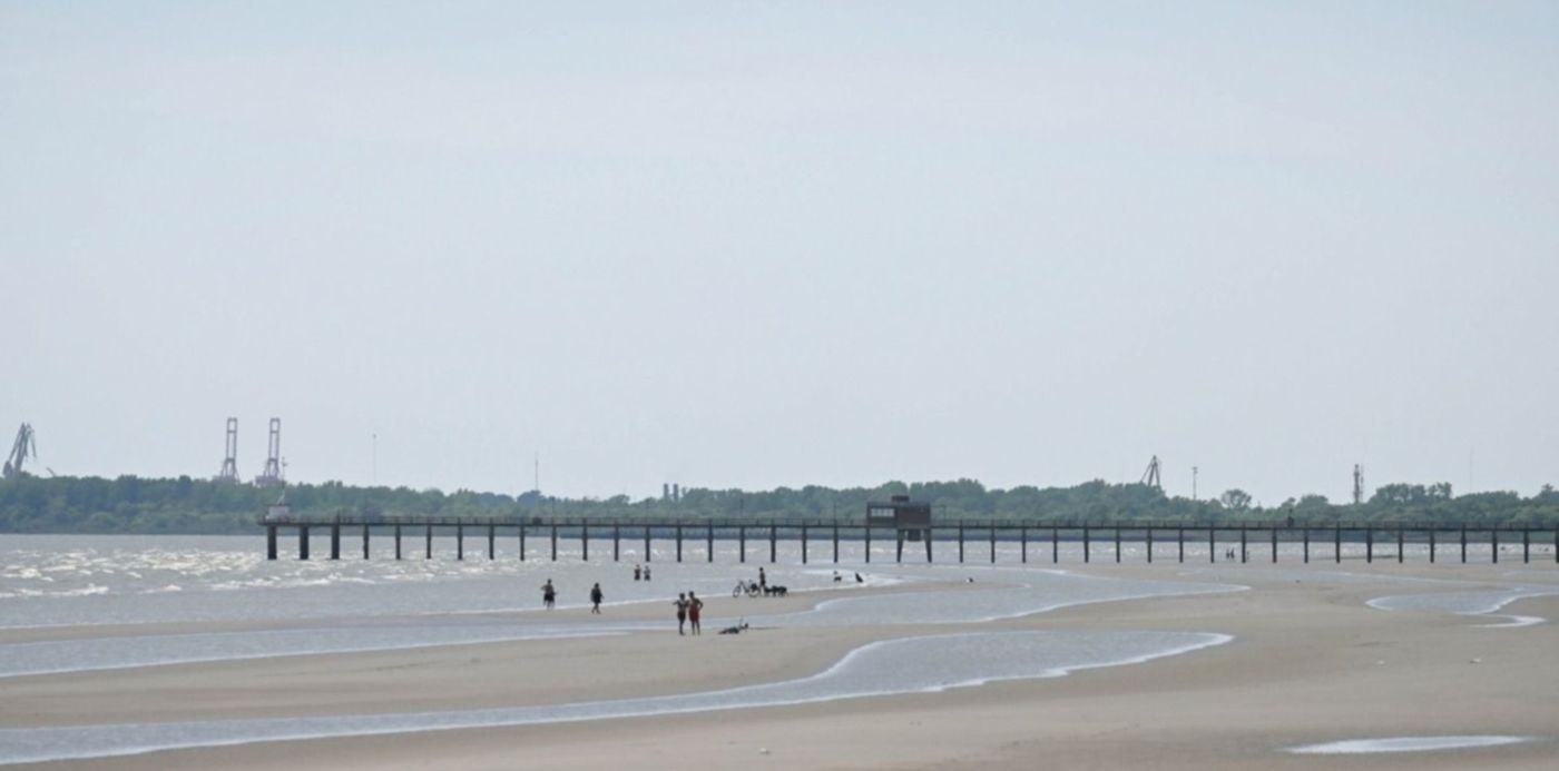 Cianobacterias en el Río de La Plata