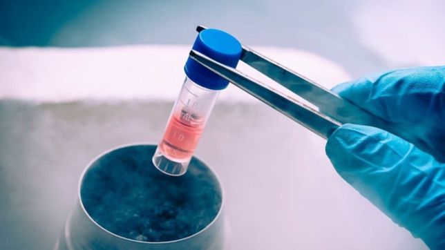 la justicia permitio que una pareja platense deseche sus embriones congelados