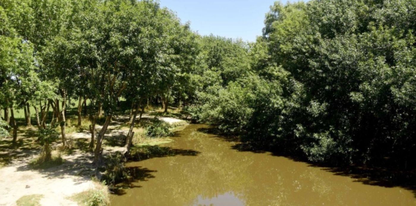 1673908249897.jpeg?x=6&y=99&width=1268&height=635&rotate=0&scaleX=1&scaleY=1&ow=1280&oh=853&&cw=1920&ch=950