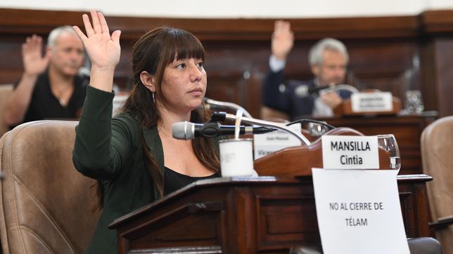 detuvieron a la concejala de la plata cintia mansilla durante los incidentes en el congreso