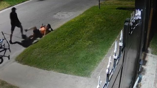 video: asi empujaron a una joven contra un cordon para robarle la bici en city bell