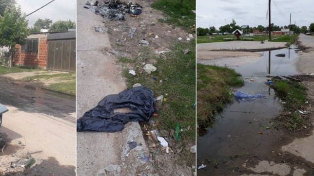 cloacas rebalsadas, animales muertos y agua cortada: las quejas de vecinos de berisso