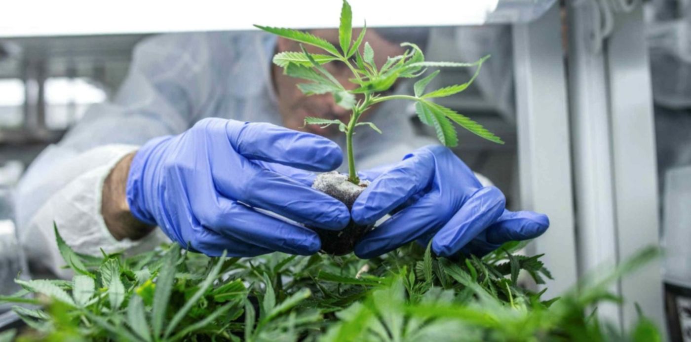 1568645583454.jpg?x=13&y=145&width=1487&height=743&rotate=0&scaleX=1&scaleY=1&ow=1500&oh=1000&&cw=1920&ch=950