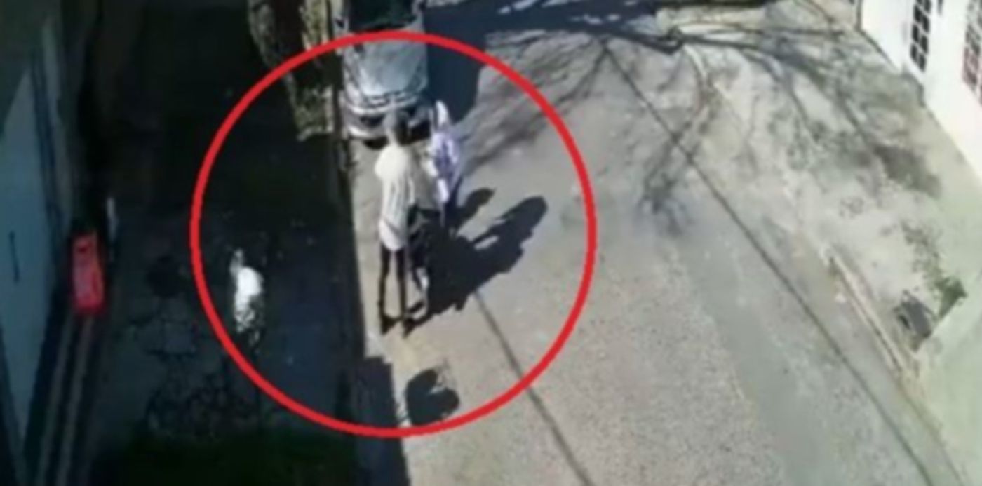 1601404853475.jpg?x=189&y=249&width=598&height=299&rotate=0&scaleX=1&scaleY=1&ow=979&oh=661&&cw=1920&ch=950