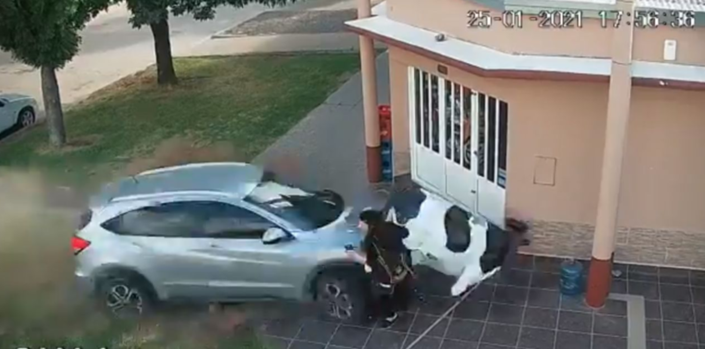 1611660184262.jpg?x=7&y=7&width=1266&height=633&rotate=0&scaleX=1&scaleY=1&ow=1283&oh=649&&cw=1920&ch=950