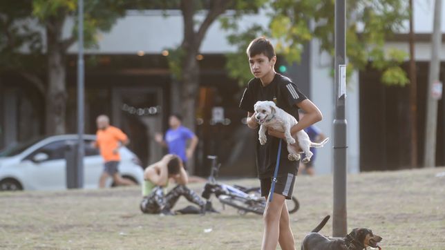 viernes radiante en la plata, en la previa de un fin de semana de sol y calor