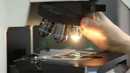 La UNLP fue distinguida como la mejor de Argentina en un ranking de ciencia