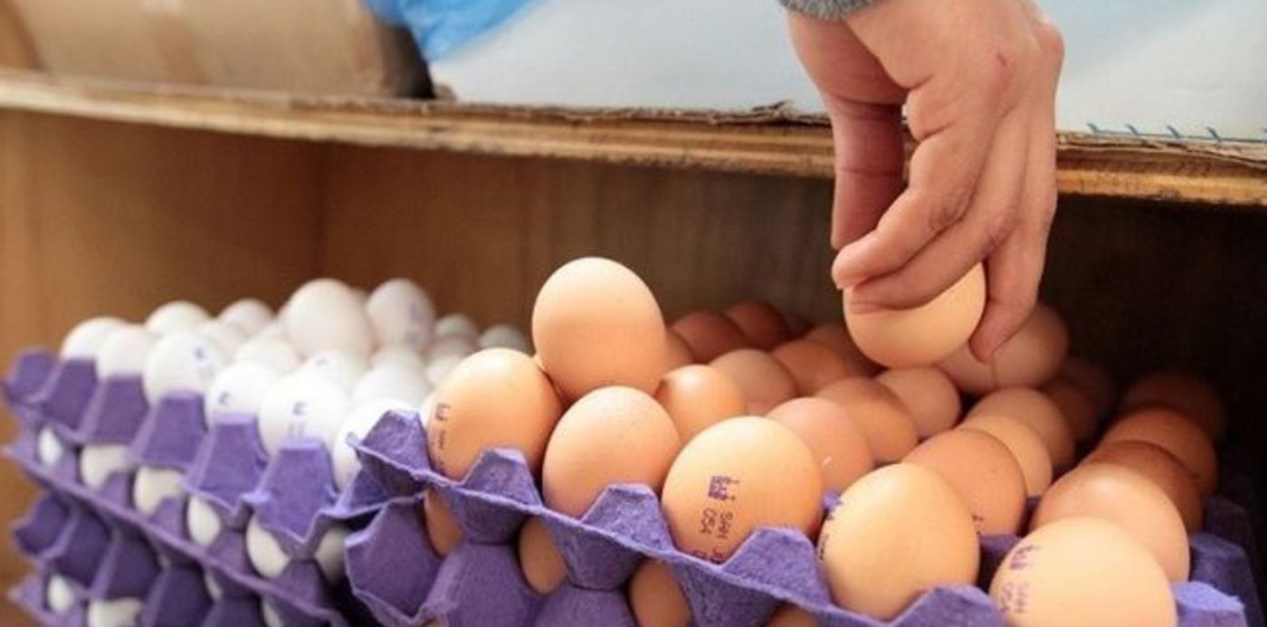 1589981738802.jpg?x=4&y=21&width=633&height=316&rotate=0&scaleX=1&scaleY=1&ow=640&oh=359&&cw=1920&ch=950