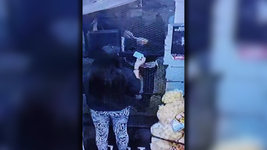 entraron a robar a una casa de la plata y compraron en un comercio con la tarjeta de la victima entraron a robar a una casa de la plata y compraron en un comercio con la tarjeta de la victima