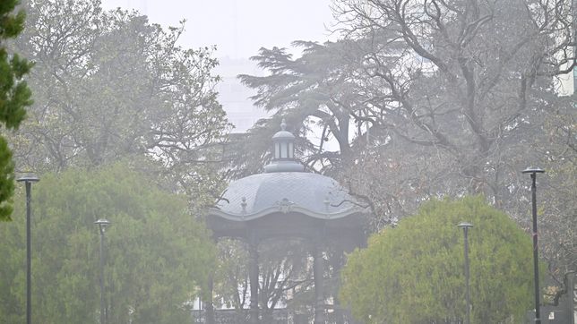 renovaron la advertencia violeta en la plata por fuertes bancos de niebla y poca visibilidad