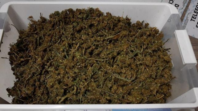 detuvieron a una pareja que llevaba 1 kilo de marihuana cerca de la unidad 9 en la plata