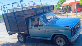 cuatro ladrones robaron una ford f-100 en la plata y las victimas piden ayuda para encontrarla cuatro ladrones robaron una ford f-100 en la plata y las victimas piden ayuda para encontrarla